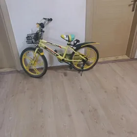 Çaga tigir, samokat