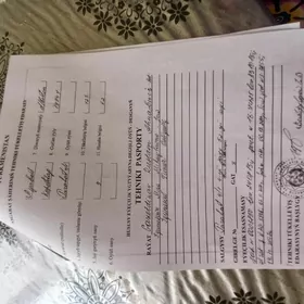 Квартира ,Jay.