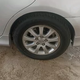 disga pakrişga lehus