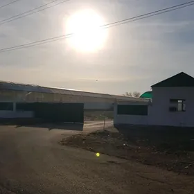 ÖNÜMÇILIK ÜÇIN GURULAN DESGA