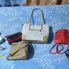 Zenanlaryñel  súmkajyklary