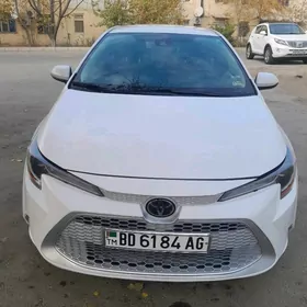 Toyota Corolla 2020