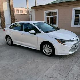 Toyota Corolla 2021