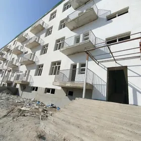 amatly bahadan Pol elitka