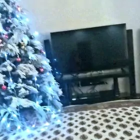 aynaly telewizor postawka