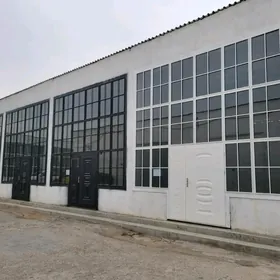 Gurtly podwal hususy 3 komn