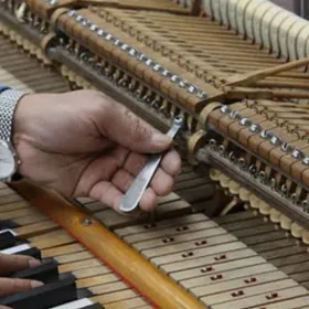 pianino sazlayan master