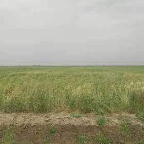 Yorunja yer 23 gektar