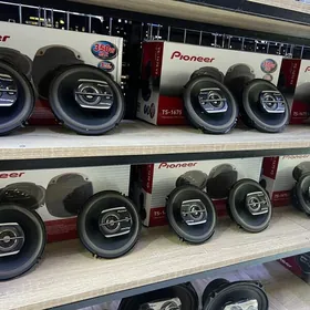 Pioneer kalonka nikel