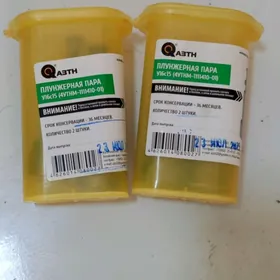 Plunjernaya Para MTZ rossiya