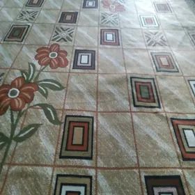 eyran haley 4×3 secekli