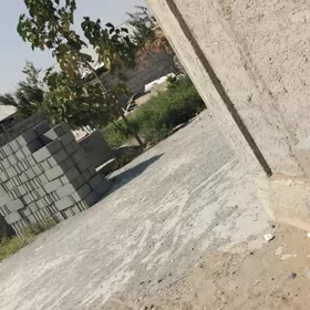 satlık Jay satlyk jay