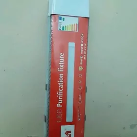 pataloçni switlnik eltmek mugt