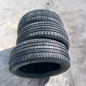 225 50 18 1stk nankang taze