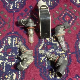 dalni blijni lampalar