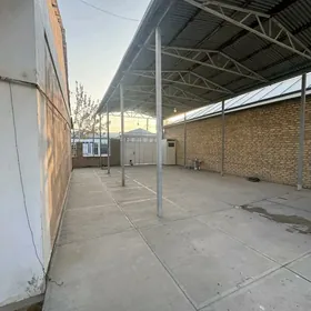 ARENDA ANEW HOWLY PLAN JAY