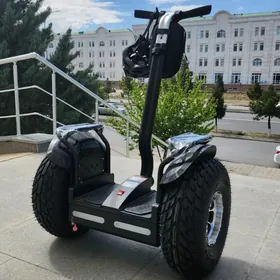 TIGIR MATOR PARTA SAMAKAT STOL