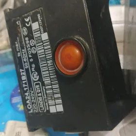 Siemens Datçik taze