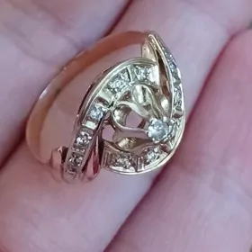 gyzyl skripka ÿuzik