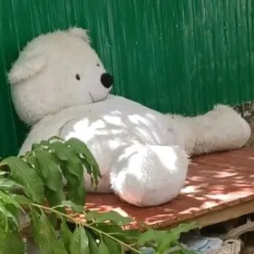 шкура мягкого мишки