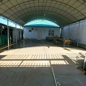 Anew magtymguly aralayk plan