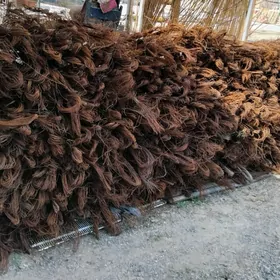 Sim 1.2 lik Wizyalny Yanan Sim