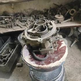 karbiratyr donuz burun