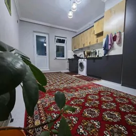 Çoganly plan jay 3sotok 3kom