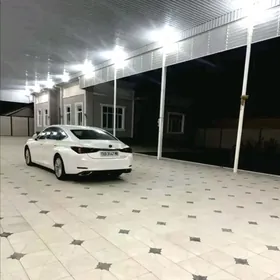 DAROŽNY PİLİTA, ÝAN ÝODA