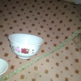 kaseler gulı her gornus