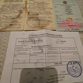 sahadatnama tapylan