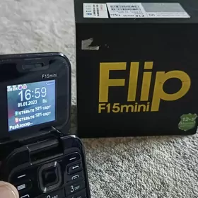 F15mini