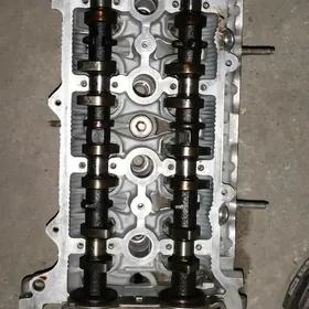 Karolla Galowka wanus