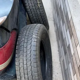 Orginal 16 Pahryska Teker