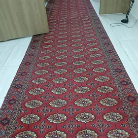 haly dorojka turkinki