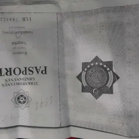 паспорт йитди