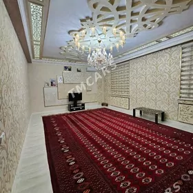 Anew kotej ahal kocan ugry