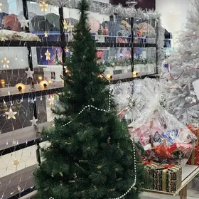 ÿolka, taze yyl елка