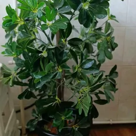 Искусственное дерево