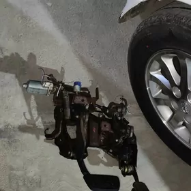 duty camryn tokly pedaly