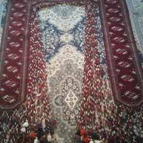 Gabsalyk Gapylyk Haly