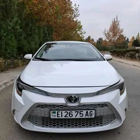 Toyota Corolla 2023