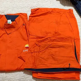 Рабочая новая форма