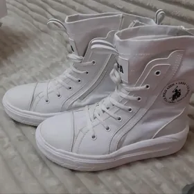 сапоги женские