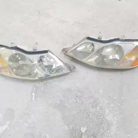 duty awalon morda fara