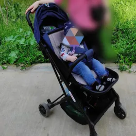 Коляска чемодан