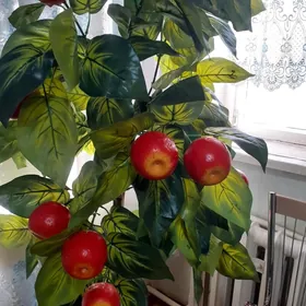 Декоративное яблоки