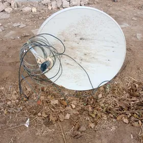 кичи антена