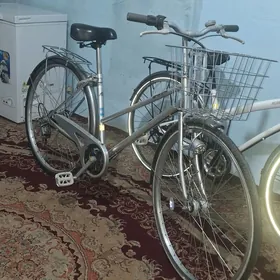 tigir ÿaposga вело