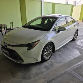 Toyota Corolla 2021